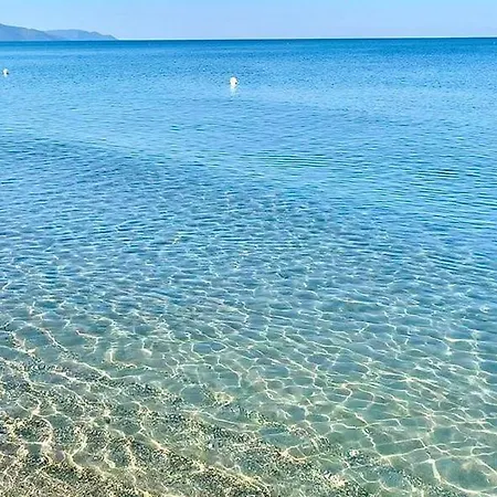 Cilento *